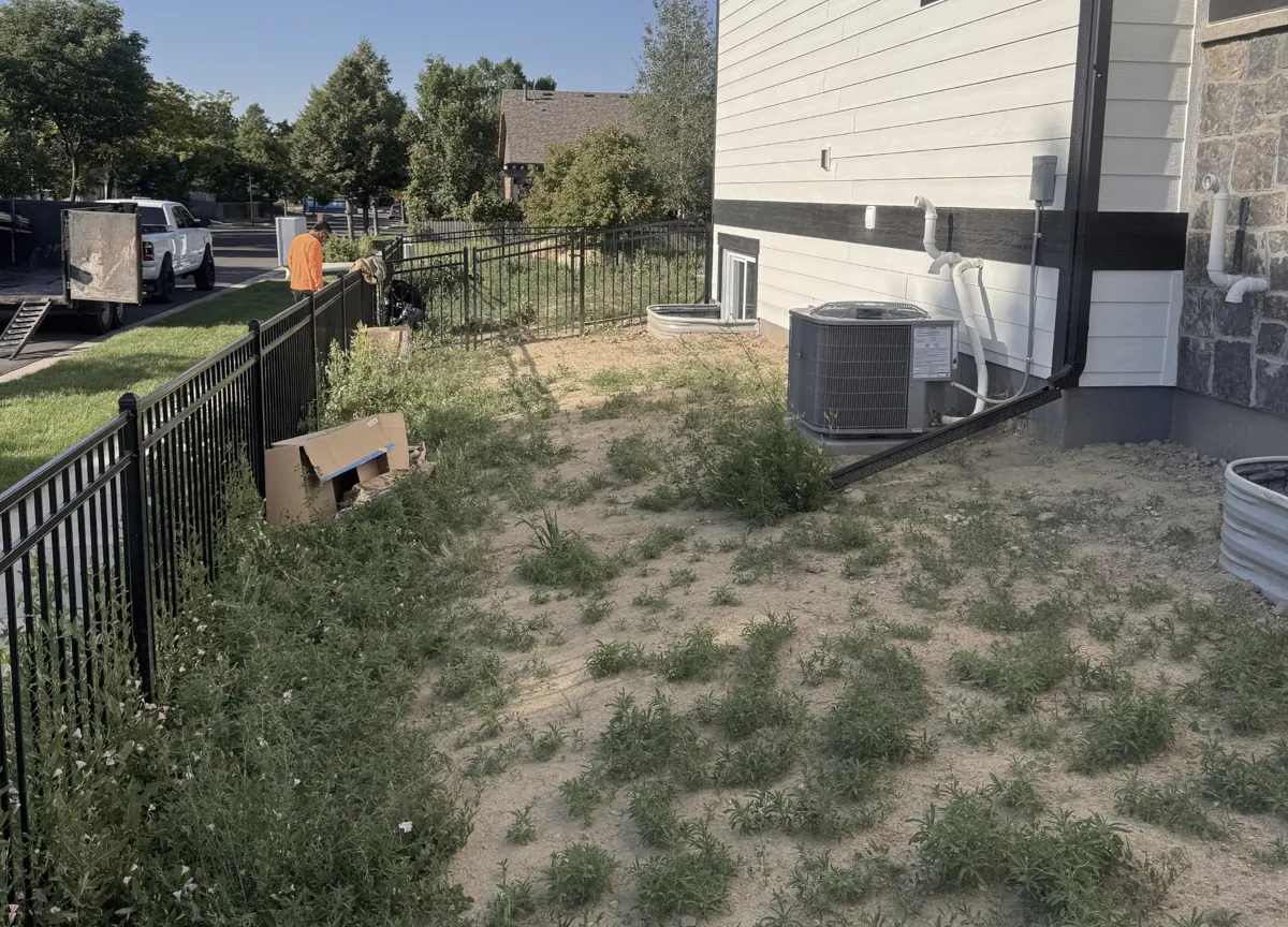 Weedy side yard to a clean gravel run, before