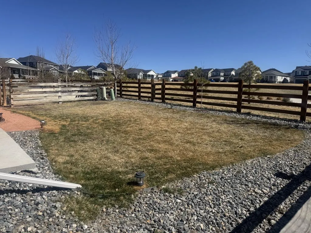 A dried out, patchy lawn in Northern Colorado